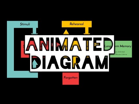 Animation | Multi Store Model of Memory Animated Diagram | Atkinson & Shiffrin | Memory