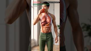 Tomato Digestion in Human Body | Food Digestion Process | Stomach AI Generated Art
