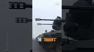 Have you ever seen the Gepard? It's equipped with two 35mm Oerlikon KDA autocannons…