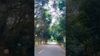 #台中 #東海大學 #running
