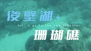 墾丁海世界觀光半潛艇～後壁湖珊瑚礁
