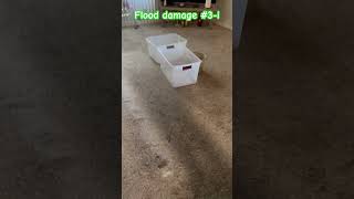 #waterdamagecleanup #flooddamage #waterdamagerestoration #dirtycarpets #deepcleaning #steamcleaning