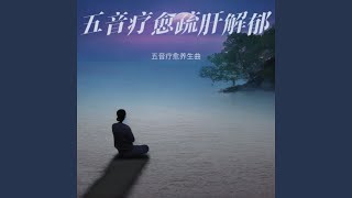养生五音 疗愈音律
