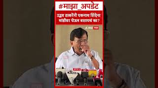 Sanjay Raut On Photosession : उद्धव ठाकरेंनी एकनाथ शिंदेना मांडीवर घेऊन  बसायचं का?