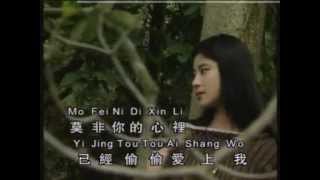 不要看着我 - 黄丽卿