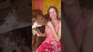 Wow 😮 #cowsgomoo #song #cowprotection #funny #gausevasangh #animals #cowcomfort #cowbeauty #cute