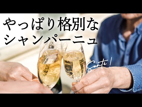 ワインでフランス一周🥂シャンパーニュの泡ができるまで｜誰でも簡単に分かるワイン解説＃8