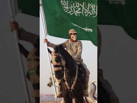 Sarkar ki aamad #islamicstatus #mereaaqa #12rabiulawal #eidmiladunnabistatus