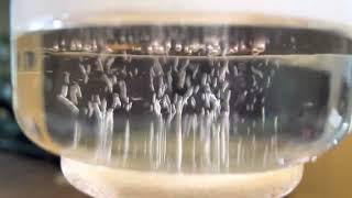20220207 升騰的水蒸汽