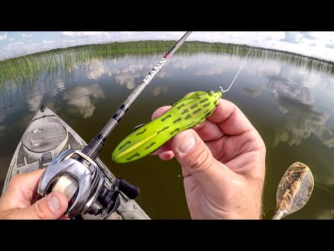 Do Bass Like Pickles?