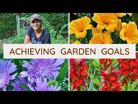 Moving perennials around | Garden Vlog