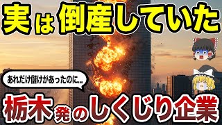 【日本地理】栄光からの転落劇！実は倒産していた栃木県発の有名企業15選 CMで見たあの企業も!? 【ゆっくり解説】