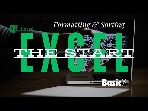 Organize Your Data Like a Pro: Excel Formatting & Sorting #excel