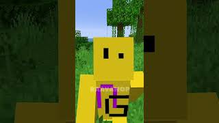 Rarest Seed in Minecraft History #gaming #raavanop #minecrafthindi #shorts #minecrafttutorial