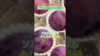 個性豊かな種類を紹介！プラムの品種ごとの特徴　#shorts