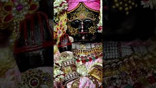 Shree krishna sharnam namah#jai shree krishna#radheradhe#devotionalvibes#religion