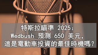 美股 101：特斯拉瞄準 2025：Wedbush 預測 650 美元，這是電動車投資的最佳時機嗎？