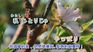 02-028    おんなの涙***石原詢子** 金嗓 942488/940248