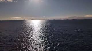 Welcome to the Antarctic Circle