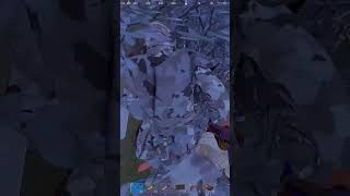 You’re NOT safe behind windows. | RUST | #rust #rustclips #rustgame #rustpvp #rustshorts