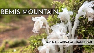 Bad Water! – Bemis Mountain – Appalachian Trail 2025 Thru Hike Day 147 – Maine