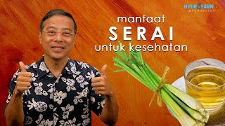Manfaat SERAI Untuk Kesehatan..!!