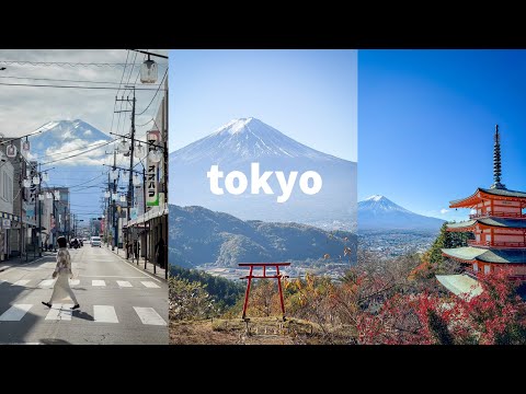 【東京旅行】女子遊｜河口湖三日兩夜Vlog｜紅葉祭2023｜Glamping hanz PAO露營初體驗｜The Garden酒店分享｜必食人氣不動茶屋鄉土料理｜70年歷史老字號伊吹壽喜燒｜