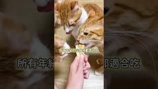 這條肉泥也太純、太好吃了吧！真湯純肉 0 添加，停不下來的美味😍｜汪喵星球 XXXX