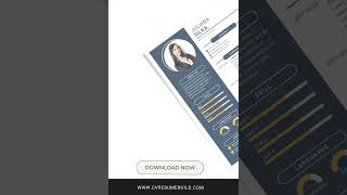 Professional CV Format