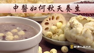 進入秋天了，別只知道養肺而已，你還需要這樣保養 | 談古論今話中醫(373)
