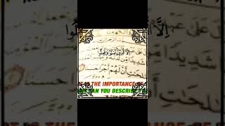 Beautiful quran recitation #quranrecitation #quranlines #jummamubarakstatus #shorts