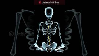 5 types of Prana in Yoga | History of Yoga | Kundalini