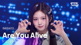 tripleS - 깨어 (Are You Alive) | SBS 250525 방송