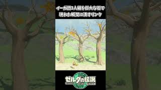 イーガ団3人組を巨大な石で現れた瞬間に潰すリンクｗｗ【ゼルダの伝説 ティアーズ オブ ザ キングダム】