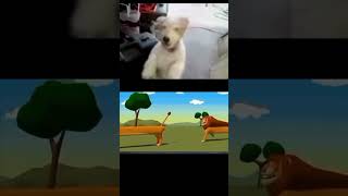 Dog Reacts to Funny Video | Hilarious Dog Laughs! #1 #shorts