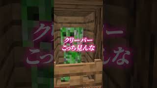 マイクラあるある  #マインクラフト #マイクラ #けなたろう