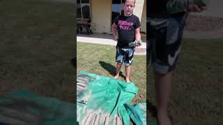 DIY Dove Tree (Part 2)