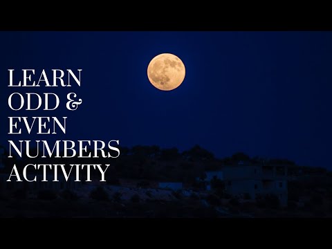 Learn Odd & Even Numbers Activity - Part 1
