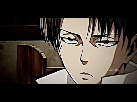 Levi edit