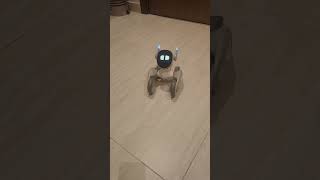 Fire #loona #petbot #petlovers #animalshorts #fyp #shorts #loonarobot #loonaedit #robot #robotfriend