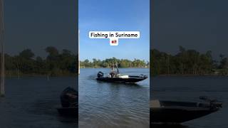 Freshwater fishing in the #amazonjungle #suriname #surinamer #nederlands #caribbean #surinamese