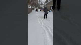 Walking in the snow Ready to have fun in snow#snow #snowy #fun #funday #shorts