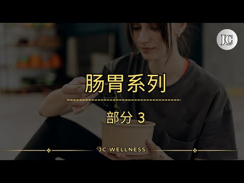 肠胃丨肠胃系列丨部分 3丨身体需要更长的时间才能分解丨消化丨消化食物丨JC WELLNESS