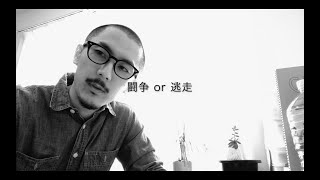 ドーパミン／ノルアドレナリン／セロトニン脳内麻薬について説明してみた