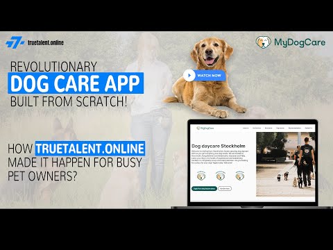 Building a User-Friendly Dog Care Web App: A Success Story with truetalent.online and MyDogCare 🐾🐶💻