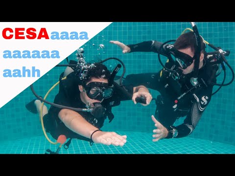 PADI CESA Confined Water 🤘PADI Open Water Diver Course • Scuba Diving Tips