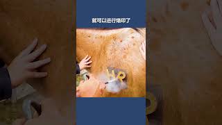 不可思议的液氮烙印技术，动物几乎没有感觉，烙印标记永久不褪色 #烙印 #涨知识 #动物 #技术