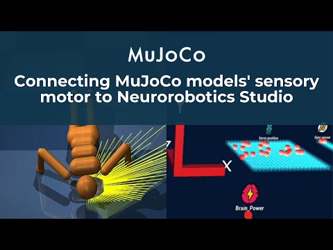 Connecting MuJoCo Models' Sensory Motor to Neurorobotics Studio