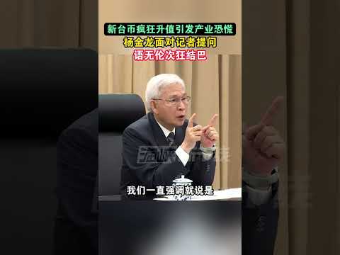 新台币疯狂升值引发产业恐慌，杨金龙面对记者提问语无伦次狂结巴#海峡新干线