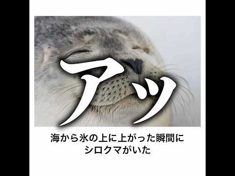 【アッ🥰】殿堂入りボケてがマジでツッコミどころ満載だったwww 【1600弾】